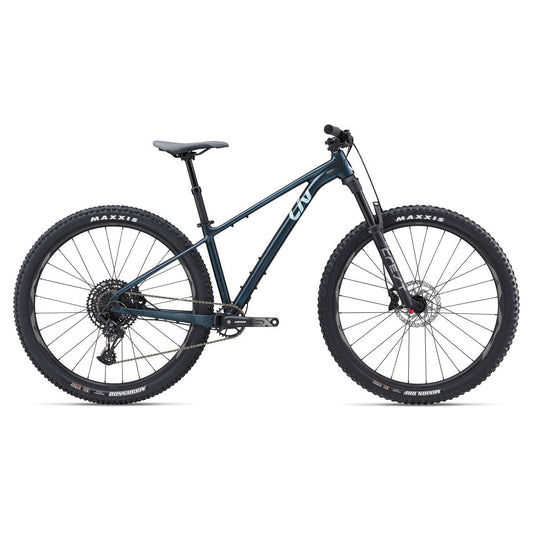 Liv Lurra Women's Mountain Bike - Bikes - Bicycle Warehouse
