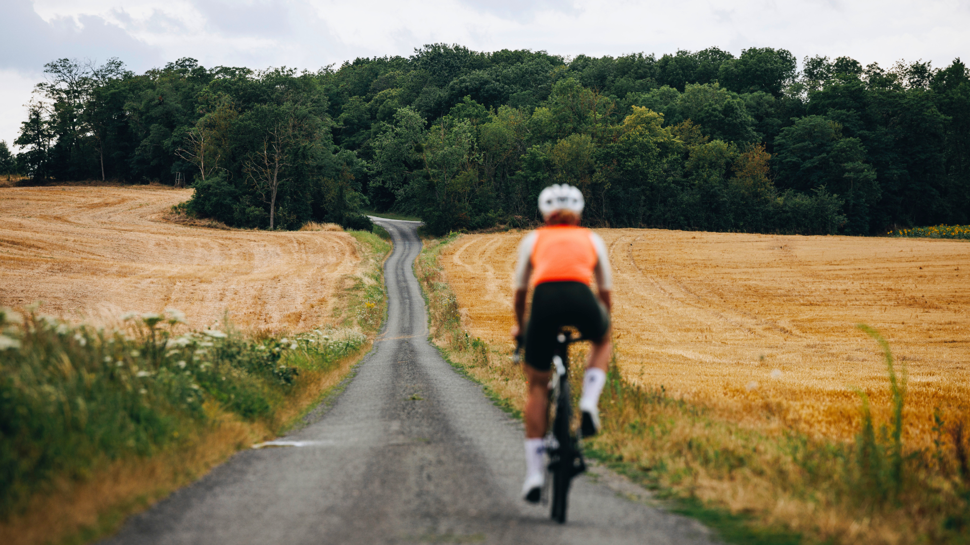 Endurance road bikes for sale