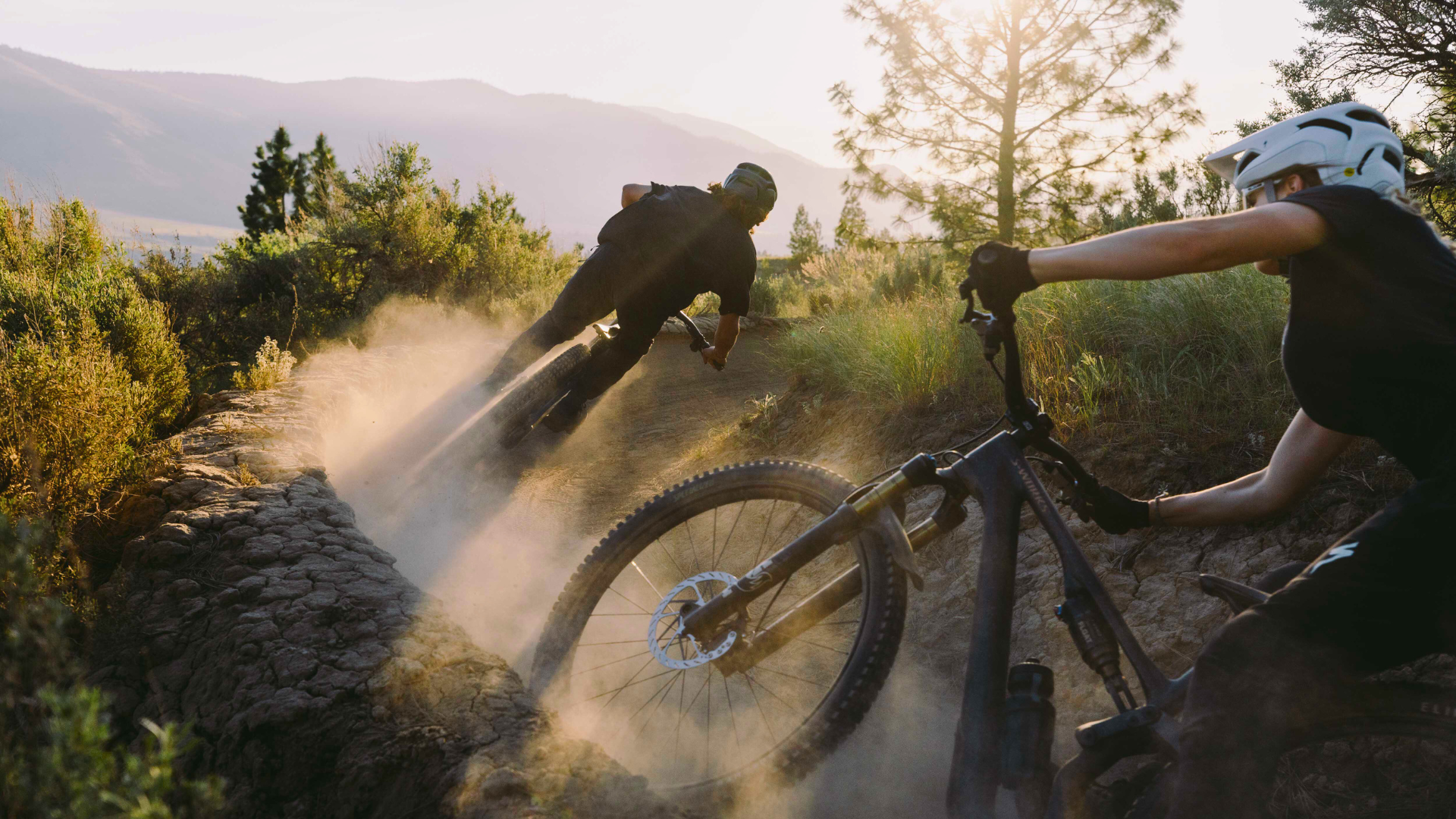 Trail Mountain Bikes