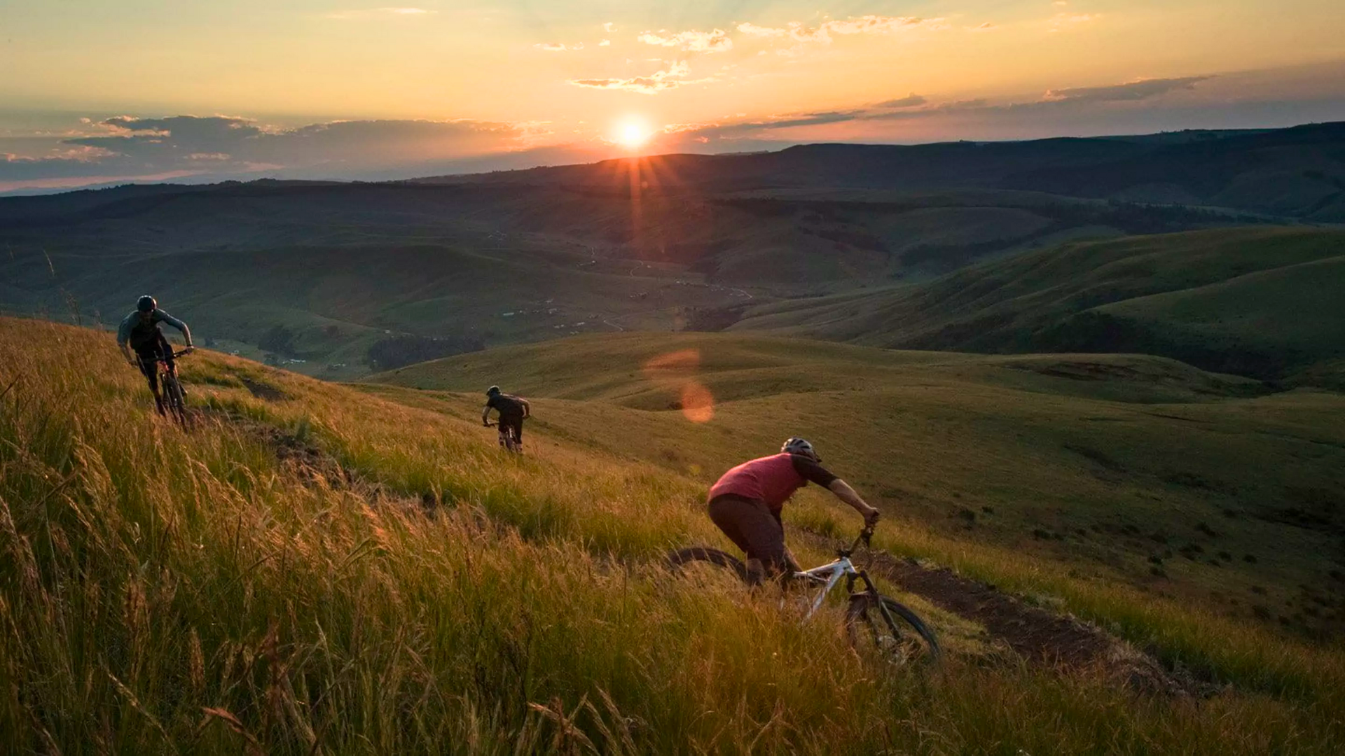 Mountain Bikes for sale